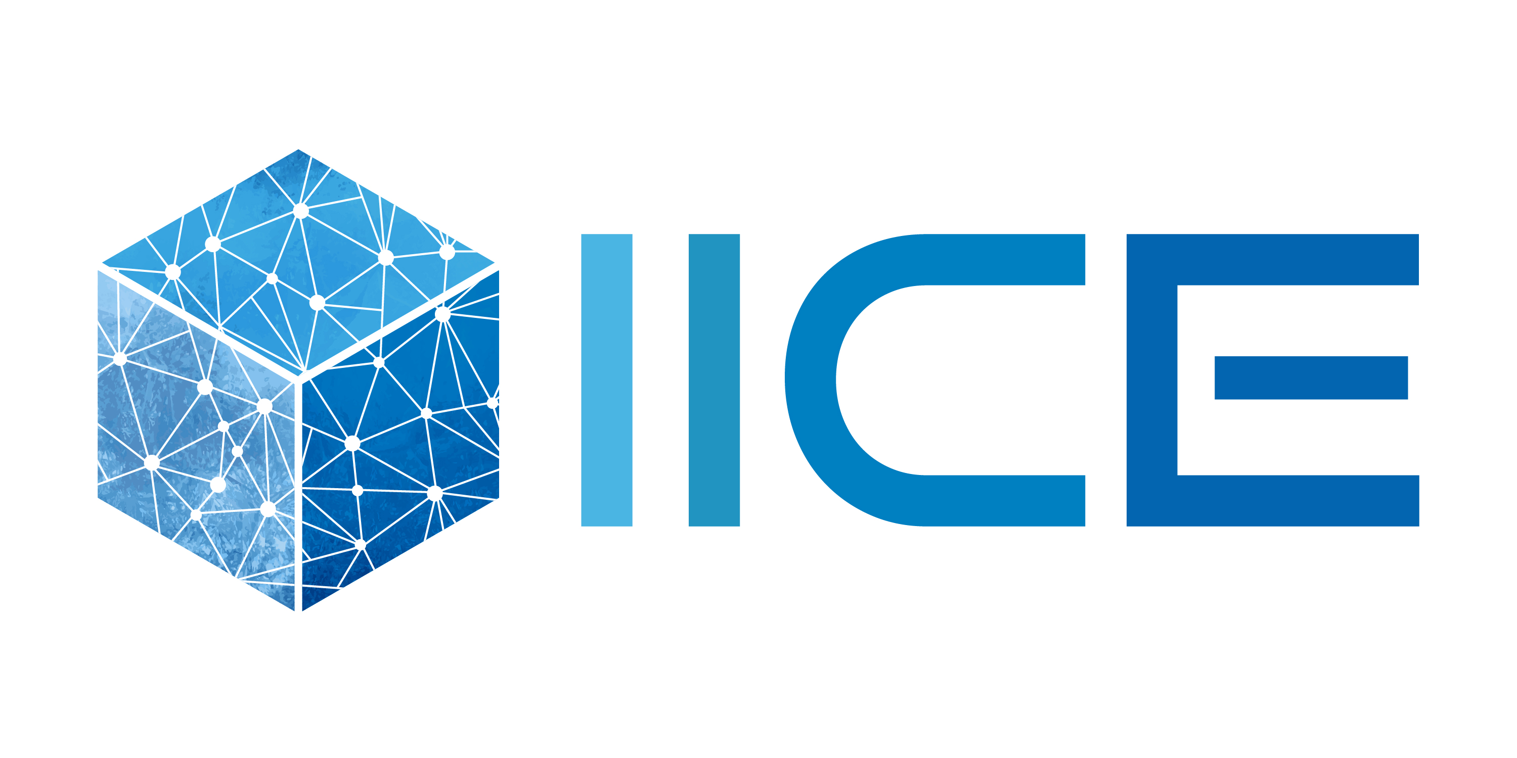 IICE Logo